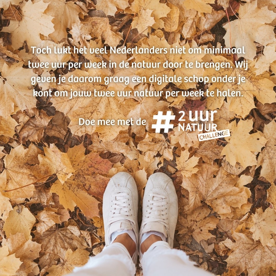 🍁 🍂 Nog even en dan start de IVN #2uurnatuur Challenge! Ervaar de hele maand oktober de gezondheidseffecten van de natuur door minstens twee uur per week naar buiten te gaan met uitdagende én ontspannende opdrachten🙌 Heb jij je al ingeschreven? ➡️ bit.ly/3unfcen