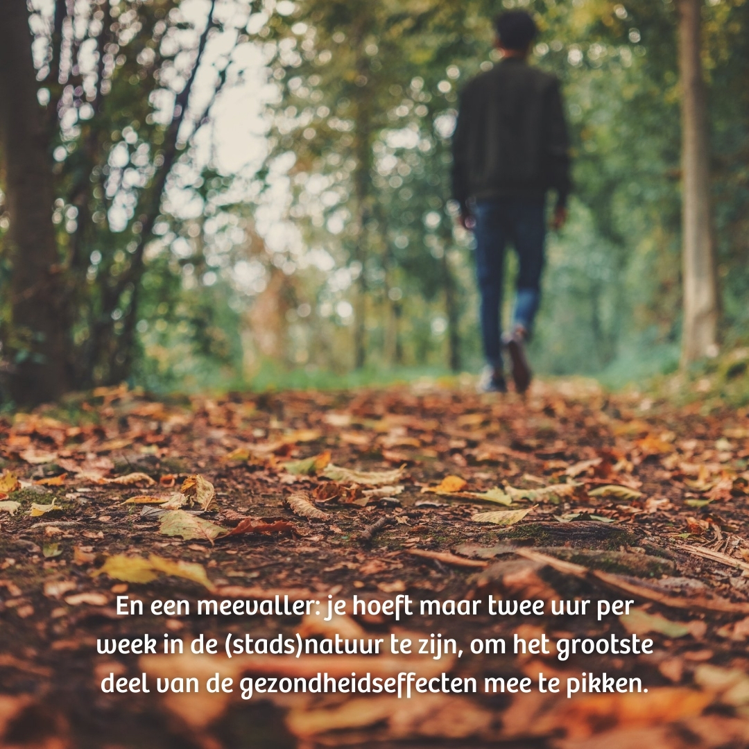 IVNNederland's tweet photo. 🍁 🍂 Nog even en dan start de IVN #2uurnatuur Challenge! Ervaar de hele maand oktober de gezondheidseffecten van de natuur door minstens twee uur per week naar buiten te gaan met uitdagende én ontspannende opdrachten🙌 Heb jij je al ingeschreven? ➡️ https://t.co/44LoKvQm8e https://t.co/WJHt7oYDGc