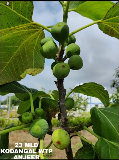 Mission Bhagiratha Official tweet media