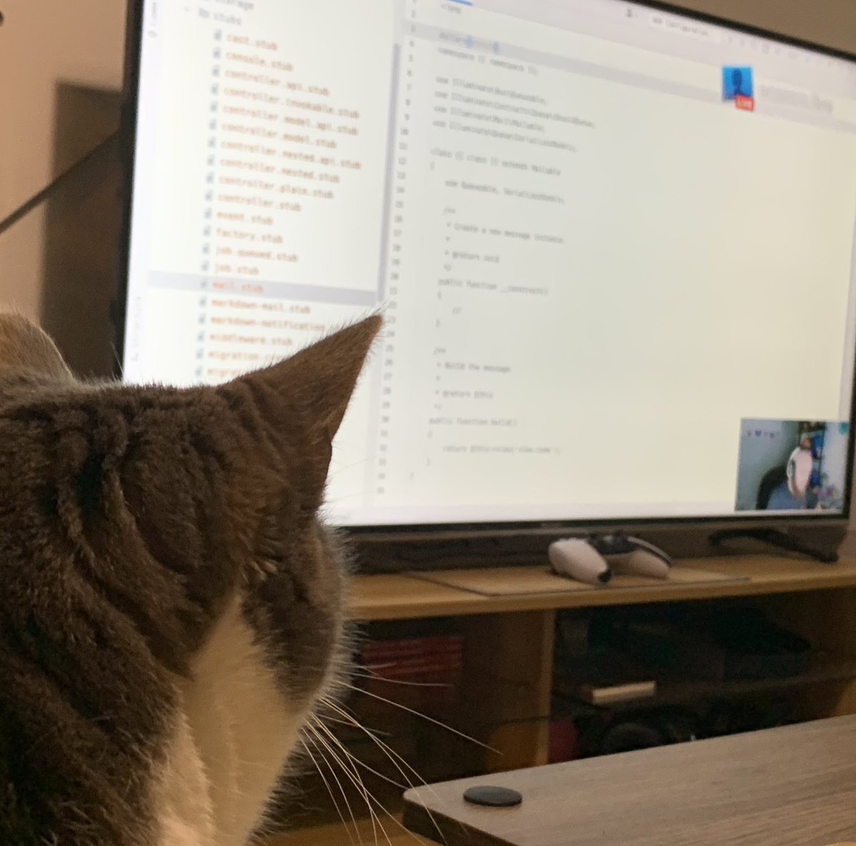 codingklinta's tweet image. At last we found time to watch the first leg of @JustSteveKing shop building stream! Watch out felines will be stealing PHP jobs soon.