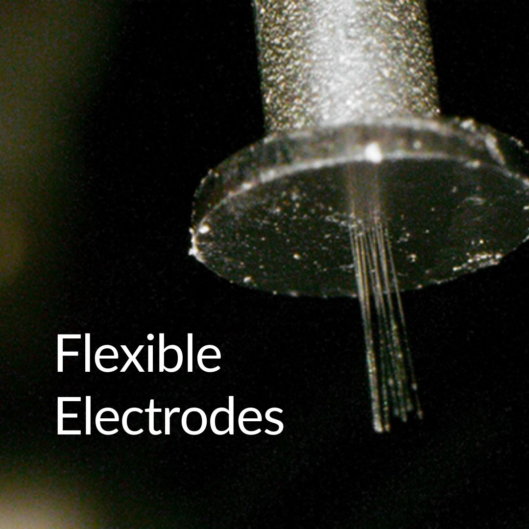 Our ultra small carbon fibre electrodes cause minimal tissue damage upon implantation and reduce the chance of ongoing tissue damage.

Want to know more? Visit our website: carboncybernetics.com

#CarbonCybernetics #MedTech #NeuroTech #MedicalDevice