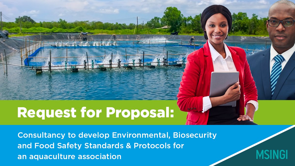 Msingi EA is seeking a consultant to support the Uganda Commercial Fish Farmers Association (UCFFA) to develop a set of standards and protocols for its members.

For more info, go to msingi.com/get-involved/t…
Application deadline: 13th Oct

#IkoKaziKE #IkoKazi #Uganda