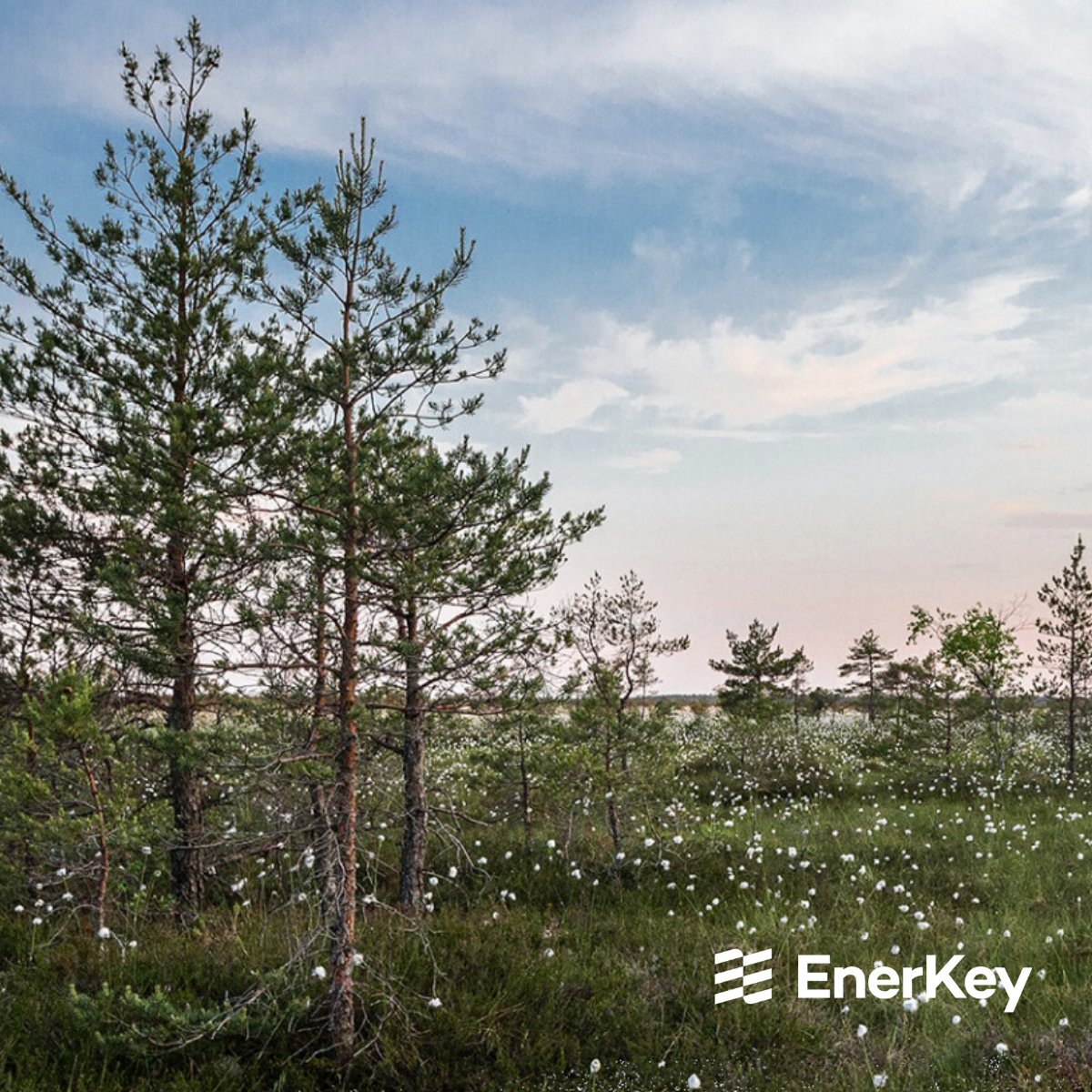 EnerKeySEMS's tweet image. We at EnerKey commit to be carbon neutral by 2025. ​ 🌎
Read the whole story: 
enerkey.com/en/company/new…

EG A/S 
#allweneedisless