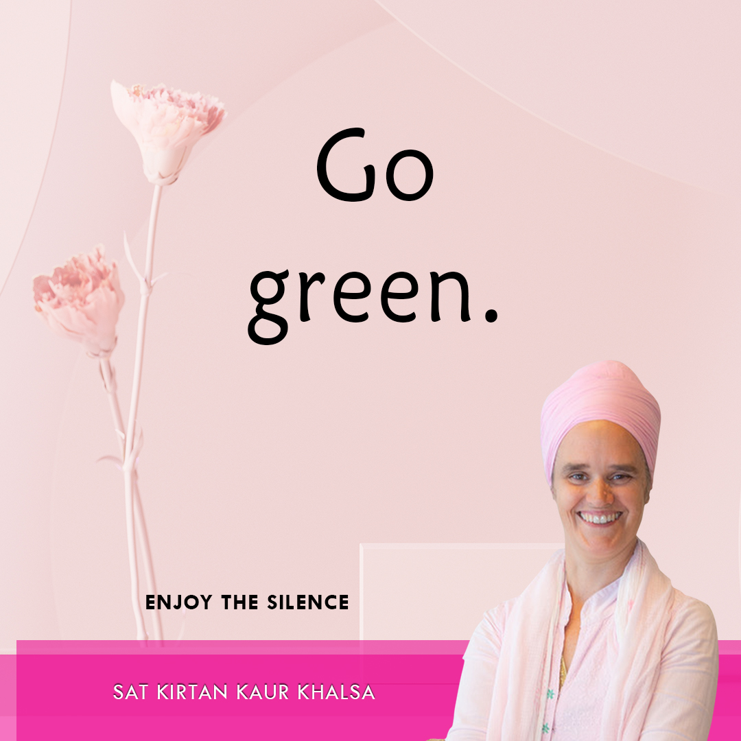 InvestInYoga_'s tweet image. Go green.
.
Sat Kirtan Kaur Khalsa - Author of How to Become a Conscious Leader 

Sign Up for a FREE Online Session Today! nineminmaxbusinessyoga.com
.
.
#yoga #nineminmaxmethod #vitalityprogram #worskhops #retreats #businessyoga #meetwithyourself #consciousleadership #author2021