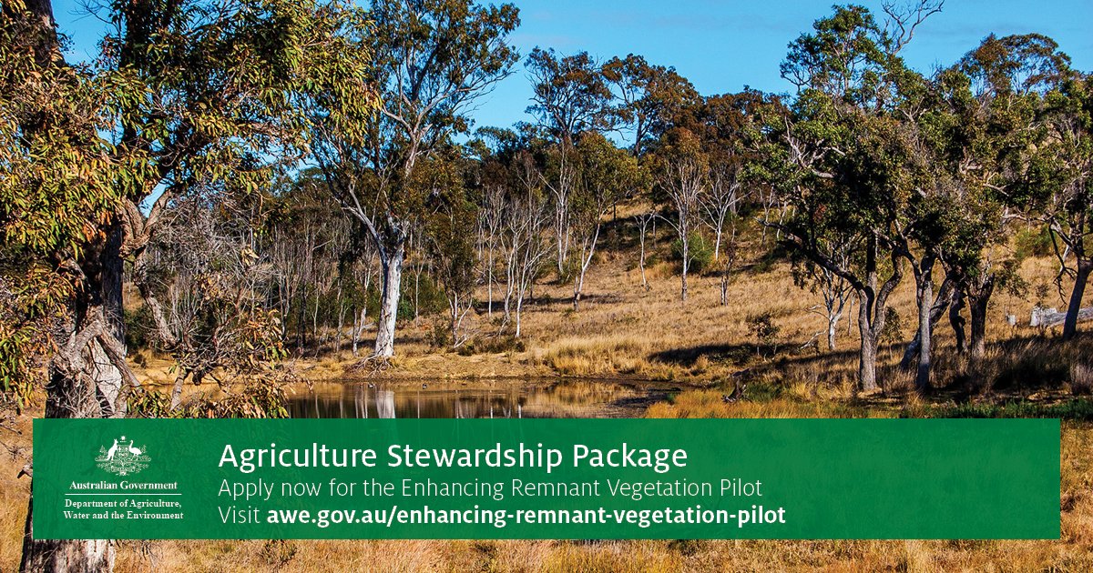DAFFgov's tweet photo. We’re trialling ways to pay farmers for enhancing remnant native vegetation. #Farmers in eligible NRM regions can be rewarded for improving native vegetation on their farms. To apply for our Enhancing Remnant Vegetation #ERV Pilot 👨‍🌾, visit: https://t.co/HOoKxjWwlQ
#ERV #Ag2030 https://t.co/g5APTsuP69
