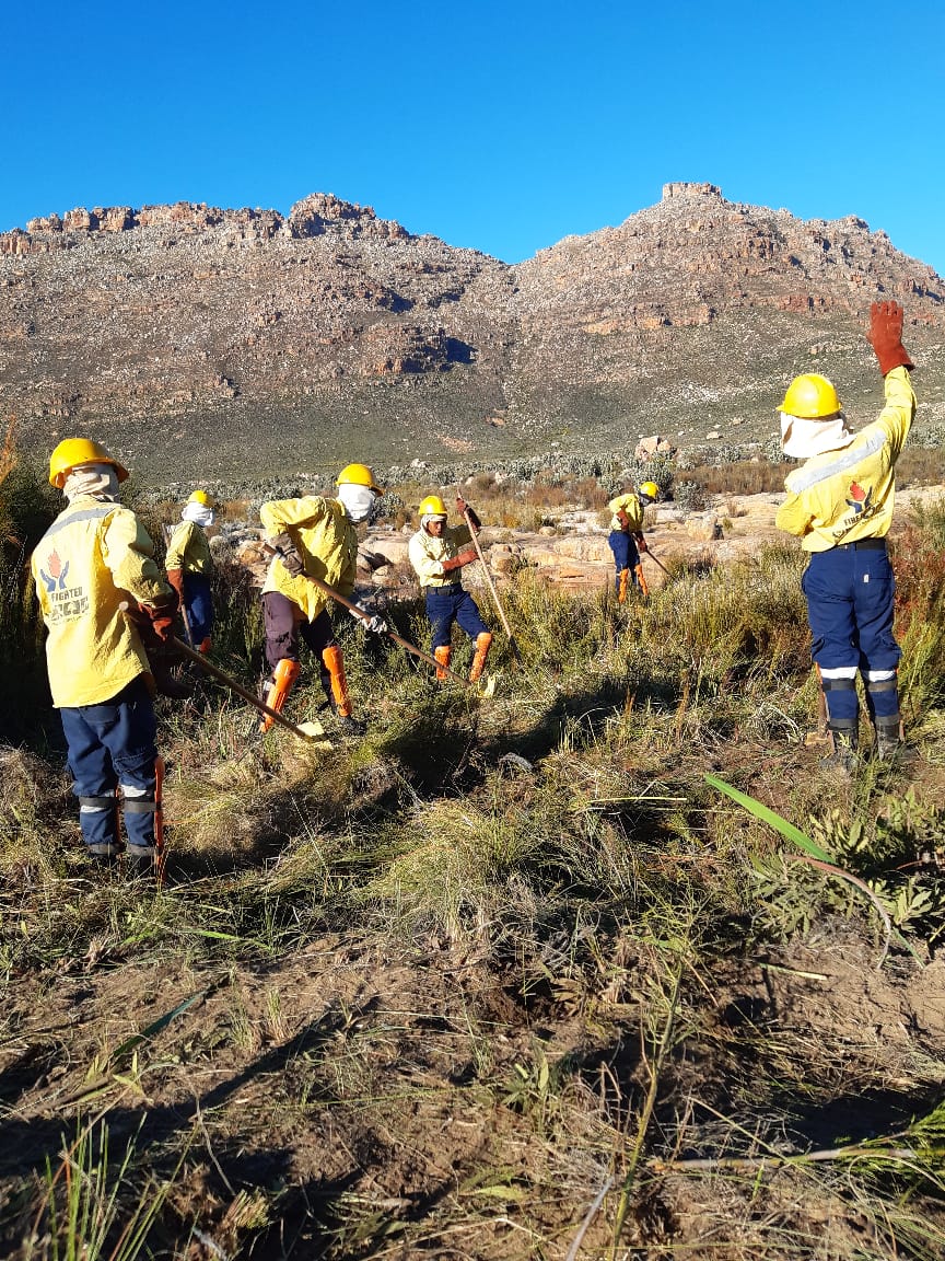 wo_fire's tweet photo. The Vredenburg Team from the Western Cape has recently constructed a fire break at Gonafontein ahead of the upcoming #SummerFireSeason !
#FuelLoadReduction @environmentza https://t.co/arqwoVP1d4