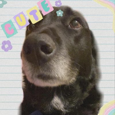 imagejizz's tweet photo. #NewProfilePic #dogecoin https://t.co/rEMU3owaFI