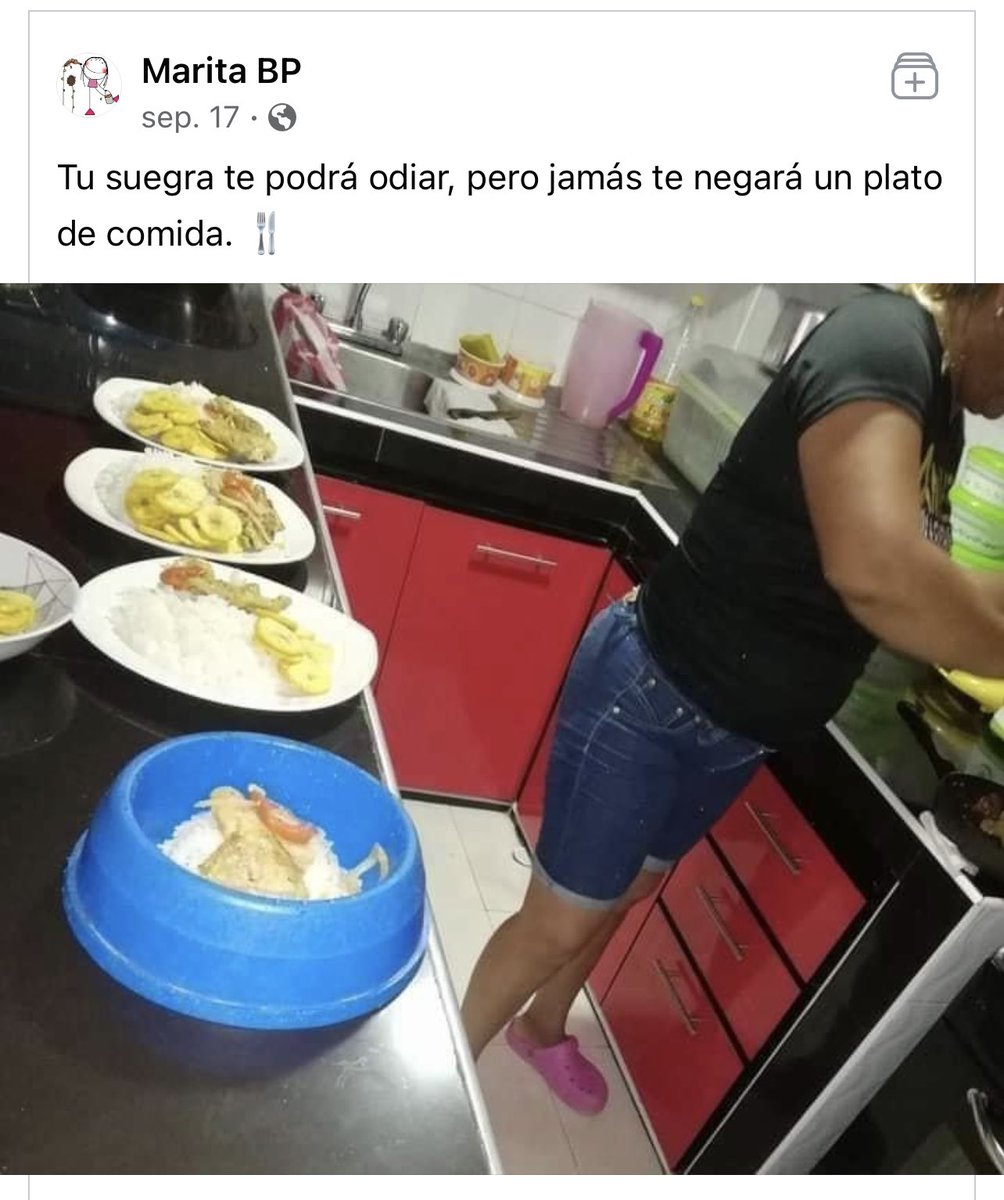 alexa_Chaverra's tweet photo. Lo vi y me acordé del plato de comida que le negaron 🤣🤣 @Lina_Tejeiro https://t.co/MflLeNZWqM