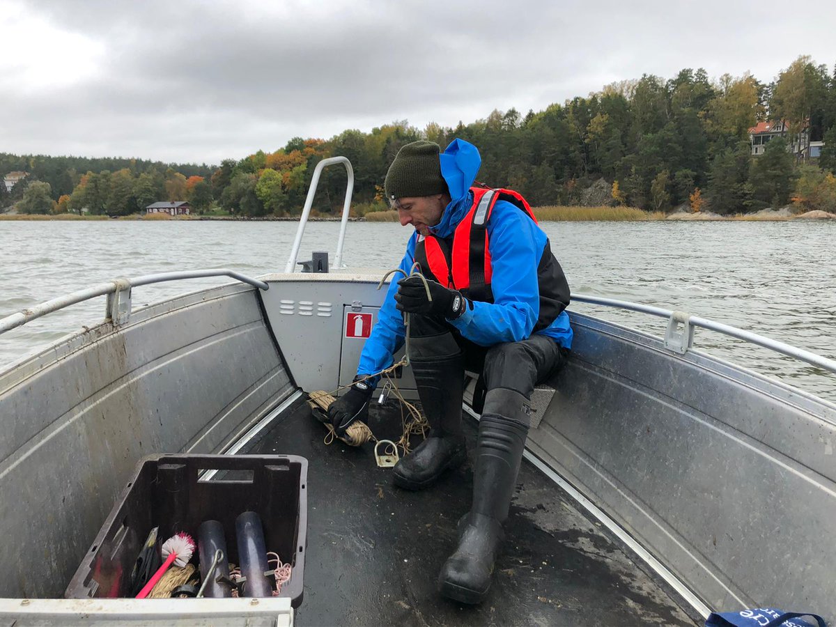 tomjilbert's tweet photo. Coming up soon: one more dataset for the #Maameri project studying #phosphorus loading to the Archipelago Sea! An efficient morning's work with @SaijaSaarni pulling up the sediment trap from Paimionlahti (already on the train back to HKI with a bucket of mud 😆). https://t.co/AGBXPOJPMh