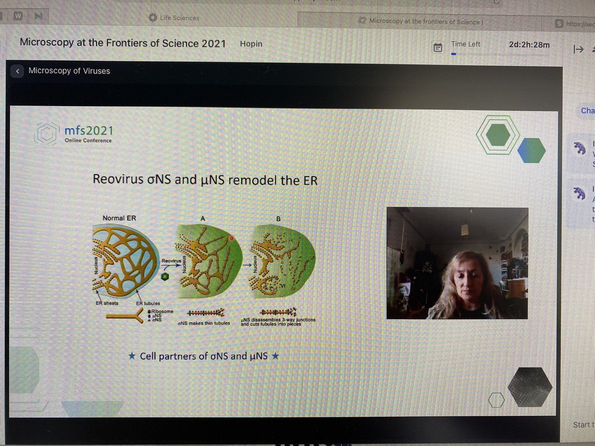 drtranfield's tweet photo. What a great session about Microscopy of Viruses at #MFS2021. And thank you for the effective IT help by the amazing @INLnano team! What a start! @silviavalecosta @carmensmp @RiscoLab https://t.co/cj72wC9ES1