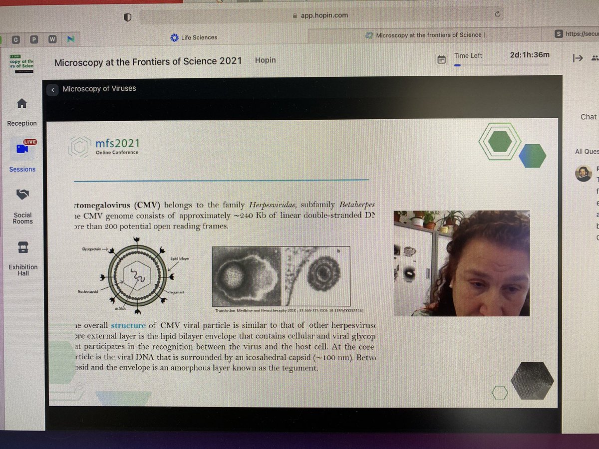 drtranfield's tweet photo. What a great session about Microscopy of Viruses at #MFS2021. And thank you for the effective IT help by the amazing @INLnano team! What a start! @silviavalecosta @carmensmp @RiscoLab https://t.co/cj72wC9ES1