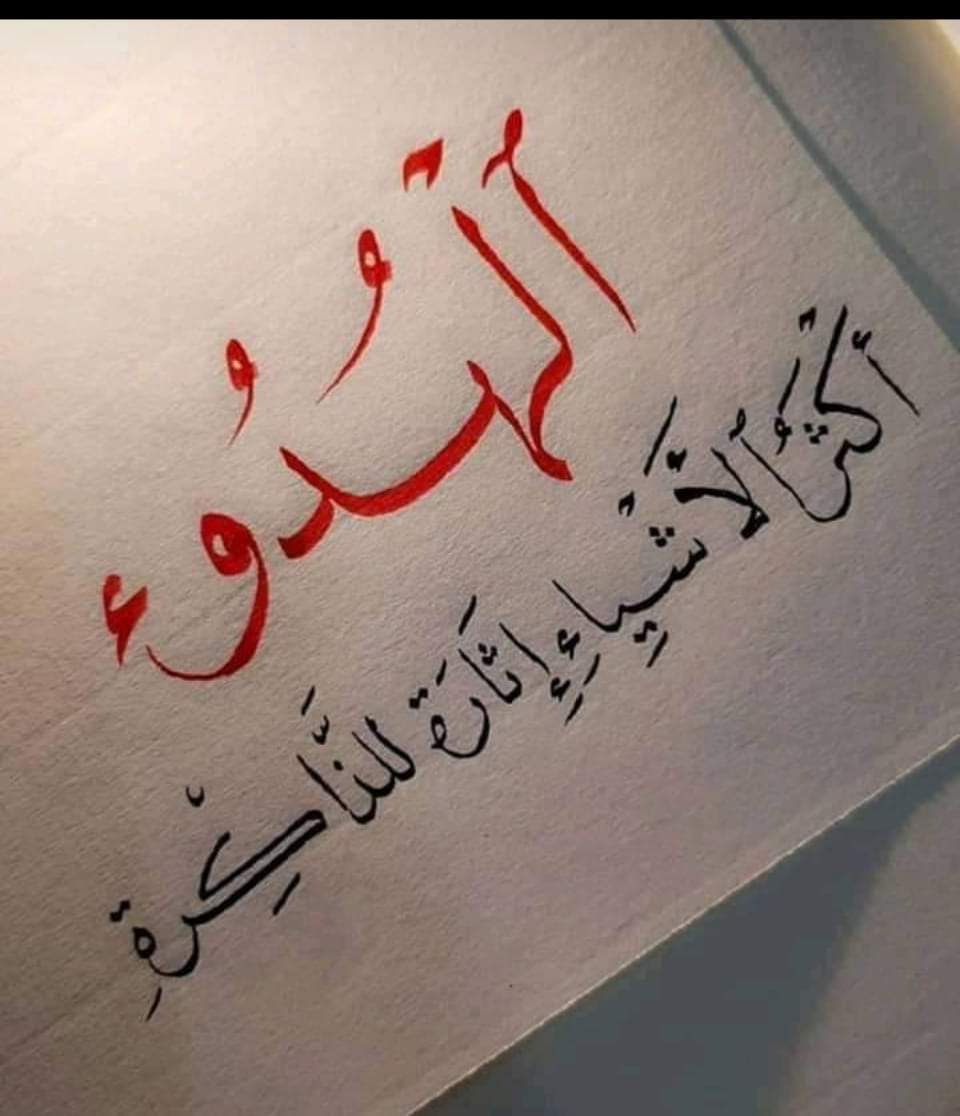 Safyah Yusuf ✨ tweet media