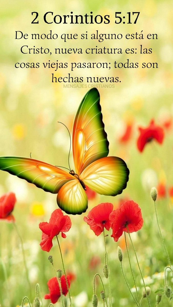 PILARSOTELOCAS1's tweet photo. #RPSP🔥
"...porque por fe andamos, no por vista...
Porque si estamos locos, es para Dios; ...
Porque el amor de Cristo nos constriñe..."
#2Cor5
#PrimeroDios
#LeaLaBiblia https://t.co/6bYdre7Fcx