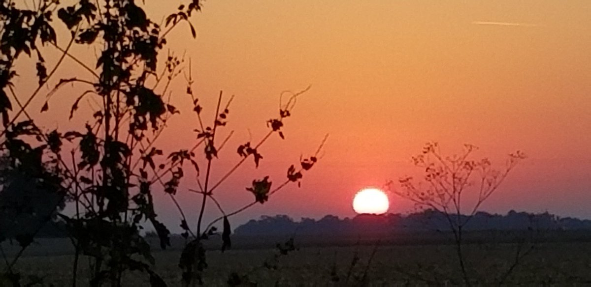 Good morning, #BloNo, from north Normal. #sunrise #ilwx <a href="/NWSLincolnIL/">NWS Lincoln IL</a>