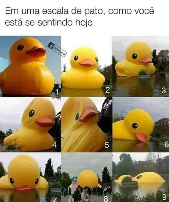 acontecesabe's tweet photo. Qual pato vc é hj? https://t.co/CuG6GSzy3P