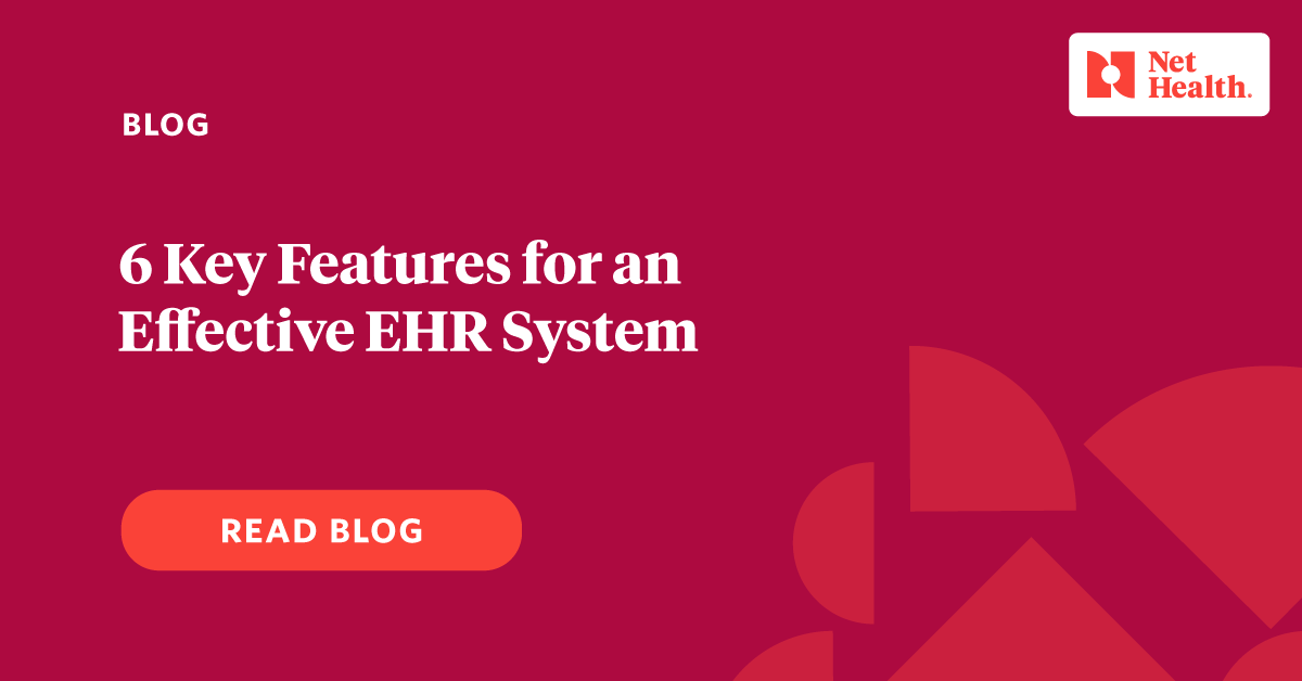 BuildPT's tweet photo. In this blog, we look at six of the most important EHR features necessary to deliver impactful results.

#ehr #ehrsystem #electronichealthrecords #keyfeatures #healthcare #healthsoftware https://t.co/LVOcMxYpgo https://t.co/RPnI1yHNwv