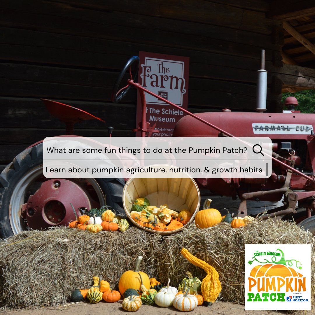 The_Schiele's tweet photo. "What are some fun things to do  at the Pumpkin Patch?"
We are so glad you asked! A big thanks to #FirstHorizon for making this program possible!

#PumpkinPatchAtTheSchiele
#FirstHorizonBank
@FirstHorizonBnk https://t.co/inSbJv1nk4