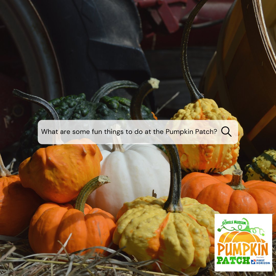 The_Schiele's tweet photo. "What are some fun things to do  at the Pumpkin Patch?"
We are so glad you asked! A big thanks to #FirstHorizon for making this program possible!

#PumpkinPatchAtTheSchiele
#FirstHorizonBank
@FirstHorizonBnk https://t.co/inSbJv1nk4