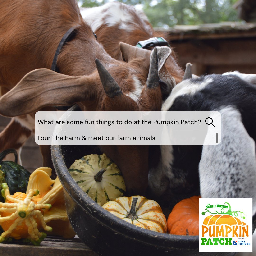 The_Schiele's tweet photo. "What are some fun things to do  at the Pumpkin Patch?"
We are so glad you asked! A big thanks to #FirstHorizon for making this program possible!

#PumpkinPatchAtTheSchiele
#FirstHorizonBank
@FirstHorizonBnk https://t.co/inSbJv1nk4