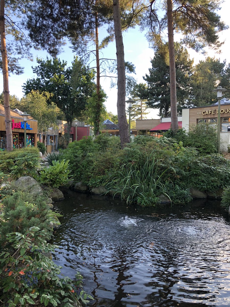 HelenJames93's tweet photo. Amazing week off with friends in @CenterParcsUK #SherwoodForest #Rapids 🌿💦🚴🏼‍♀️ https://t.co/yHRiQKkHsk