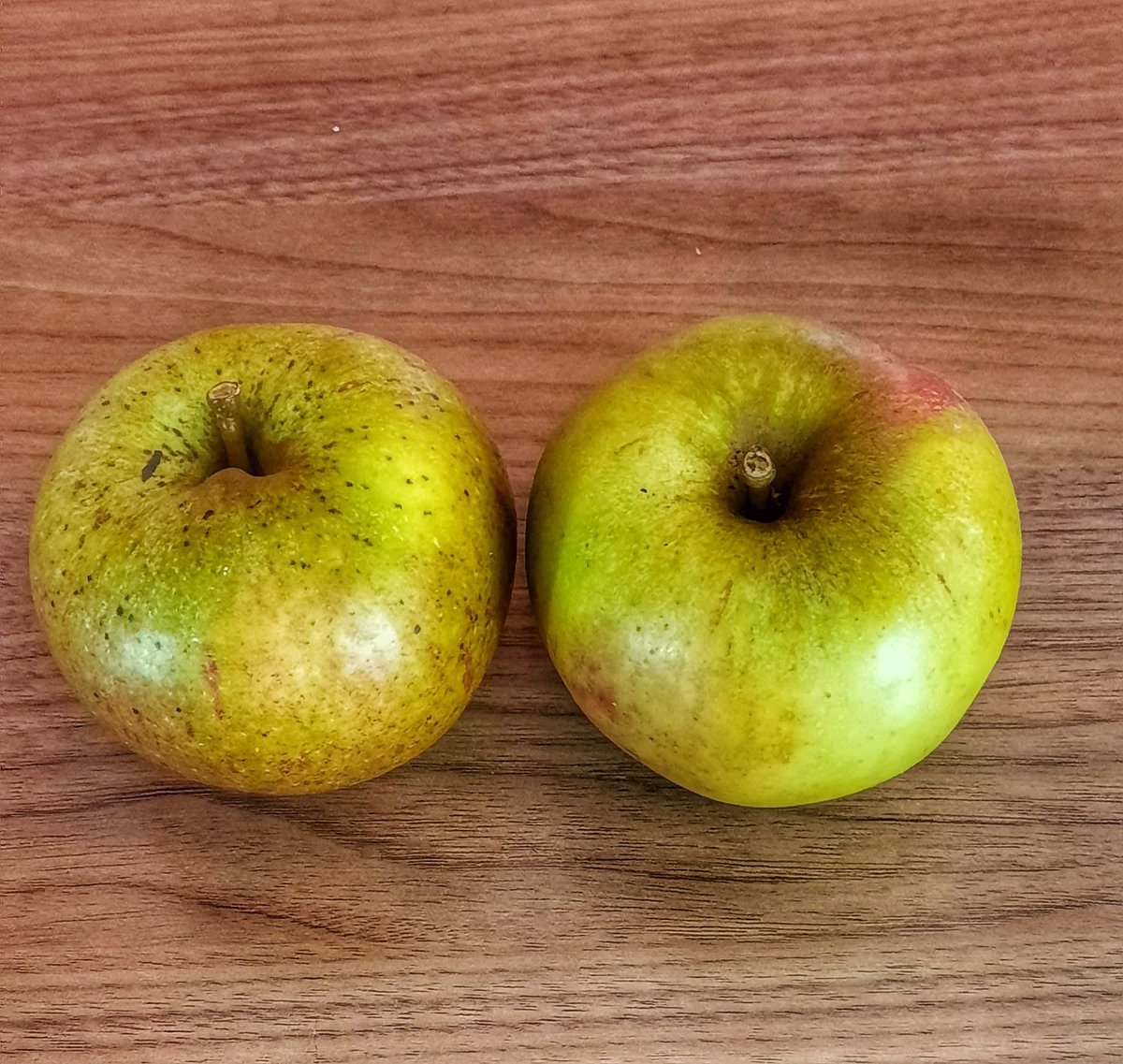 J0hnCassidy's tweet photo. A lovely gift, but what to do with 'em...
#bakingapples https://t.co/Us5hTKgYkP