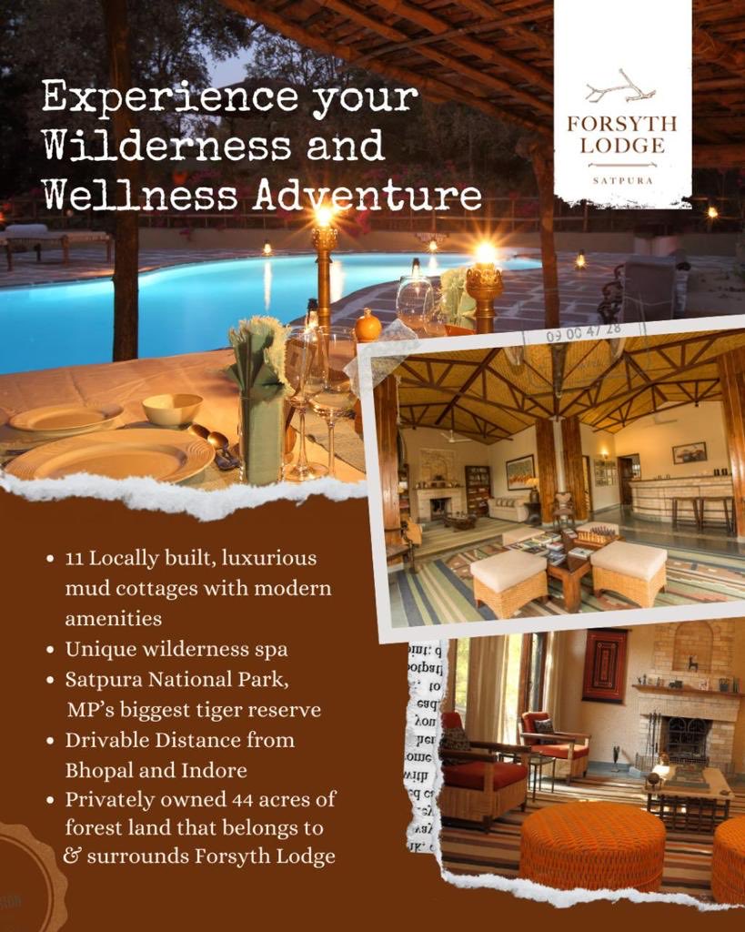 ModyJaydev's tweet image. 