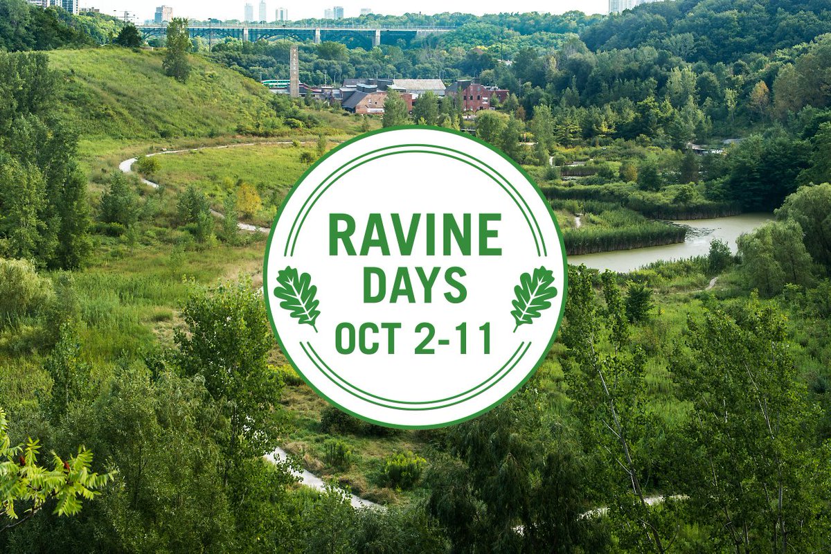 City of Toronto PFR (@torontopfr) on Twitter photo The <a href="/cityoftoronto/">City of Toronto 🇨🇦</a> is excited to revive Ravine Days as a fall celebration, after cancelling the event in 2020 due to COVID-19 public health measures. With help from our partners, events and activities are taking place October 2 to 11. More at toronto.ca/ravines.
#RavinesTO The <a href="/cityoftoronto/">City of Toronto 🇨🇦</a> is excited to revive Ravine Days as a fall celebration, after cancelling the event in 2020 due to COVID-19 public health measures. With help from our partners, events and activities are taking place October 2 to 11. More at toronto.ca/ravines.
#RavinesTO