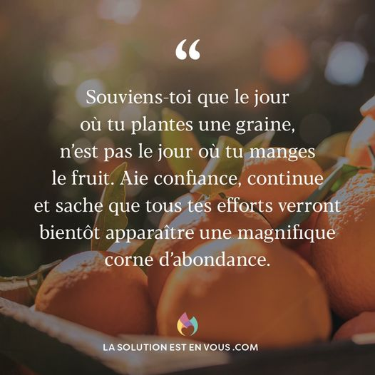 So4real6's tweet photo. "Souviens-toi que le jour où tu plantes une graine, n'est pas le jour où tu manges le fruit. Aie confiance, continue et sache que tous tes efforts verront bientôt apparaître une magnifique corne d'abondance."🌱
#Citation #Citations #DemainNousAppartient #LaSolutionEstEnVous https://t.co/MHTCP45xs1