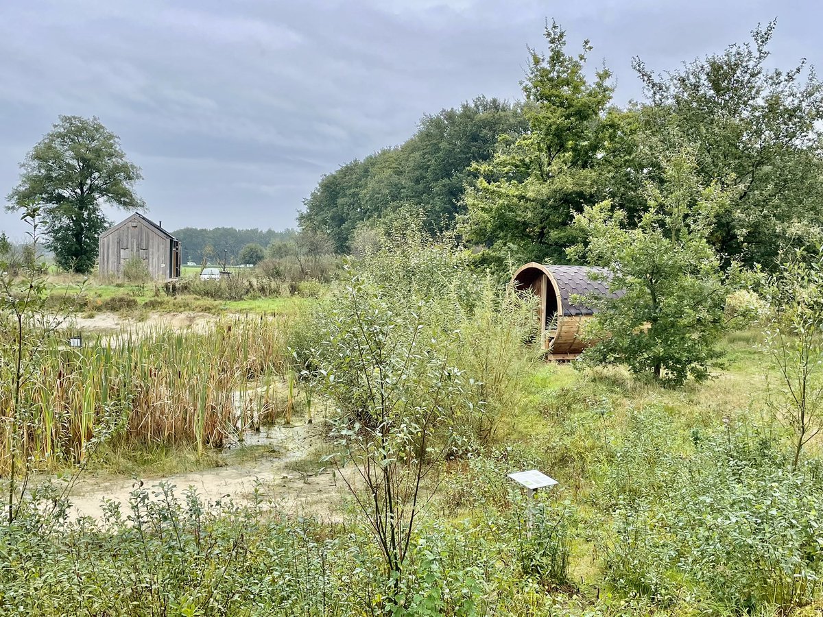 deklashorst's tweet photo. Nieuw! 💥 Vanuit je barrelsauna in alle rust genieten van de herfstkleuren 🍁 of van het winterse landschap. 🛷 Jaarrond kamperen wordt steeds hotter! 🔥 https://t.co/pnAEU5o6kS