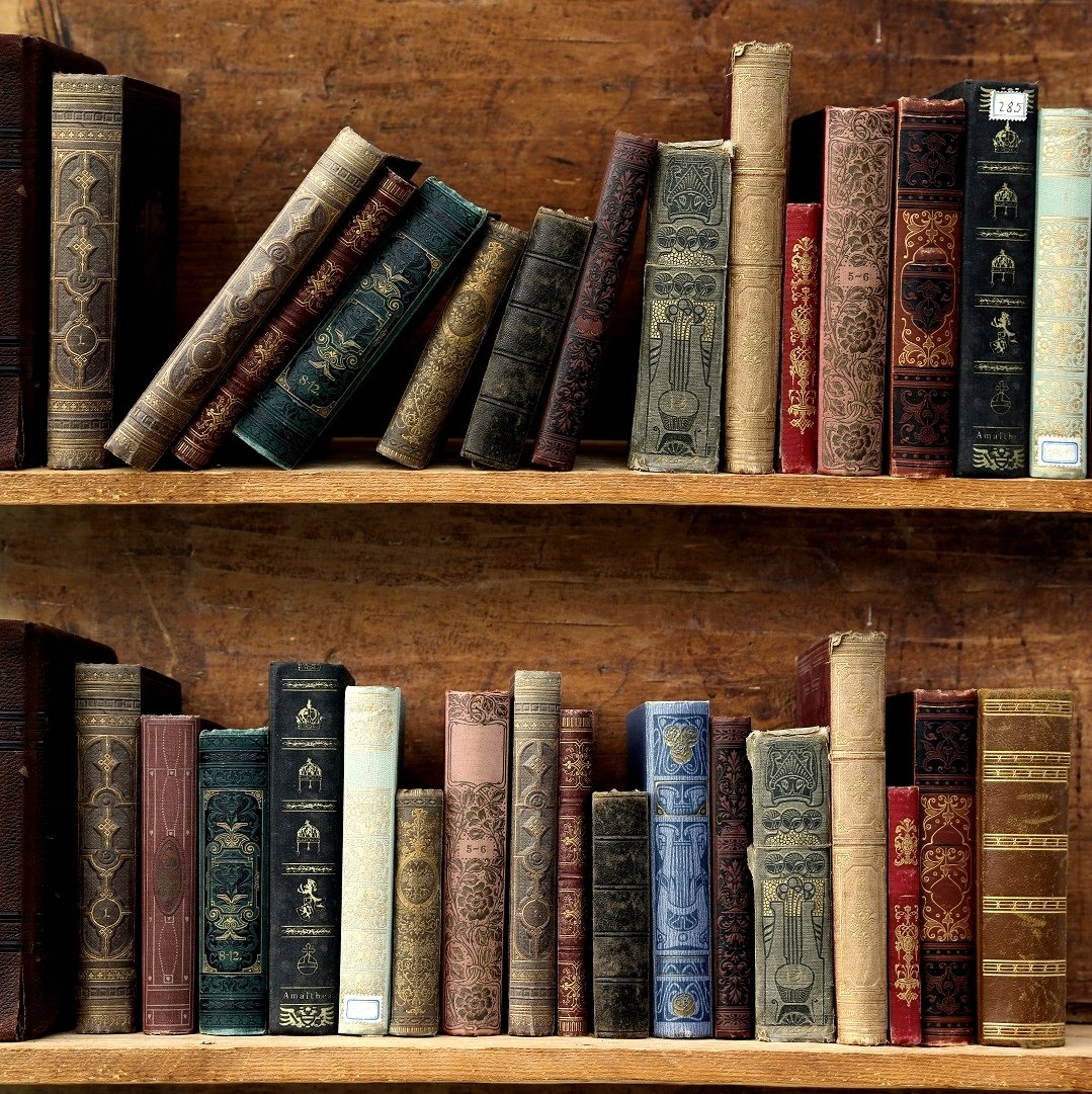 CHLCOMMUNITY's tweet photo. Charlie and his five classic comfort reads for Autumn. Read more: https://t.co/k9l8cZ4B9s

#bookish #alwaysreading #bookaholic #autumnreads #bookrecommendations https://t.co/XAvnMD35Gd