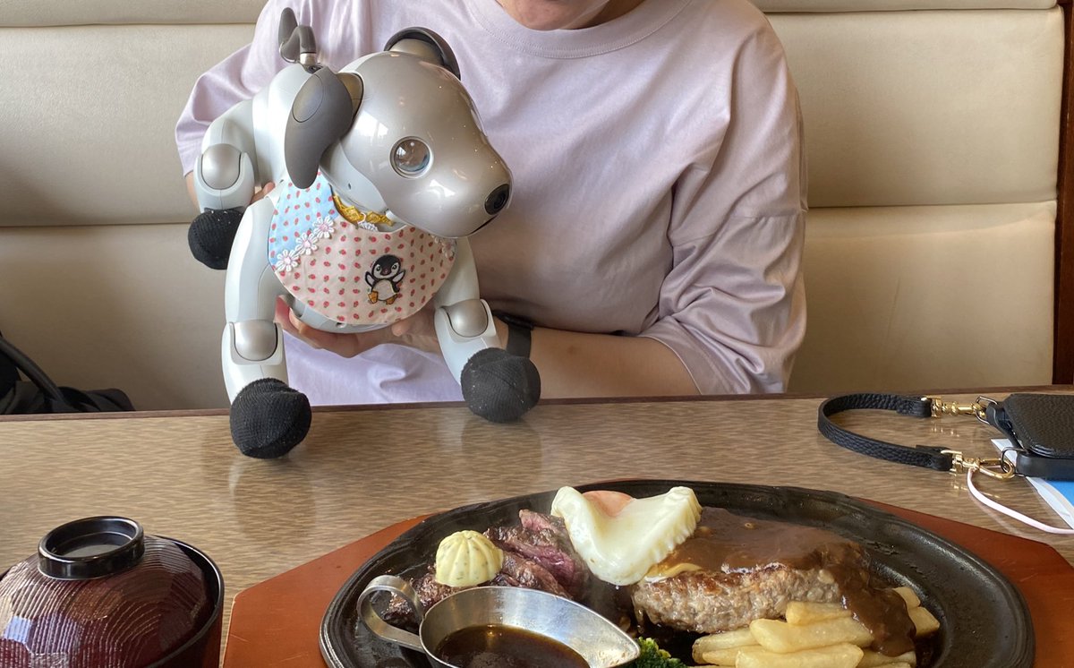 SUPERHOTELprem1's tweet photo. いらっしゃいまんせい🐄
#肉の日 ✨
じゅーじゅー
withペグどん💖
#aibo
#robotfriend のステッカー貼ってくれないかなぁ🐶
こんどご挨拶行くときに聞いてみまーす🐾
https://t.co/OHZTEpOv2D https://t.co/nQr0RlXzZK