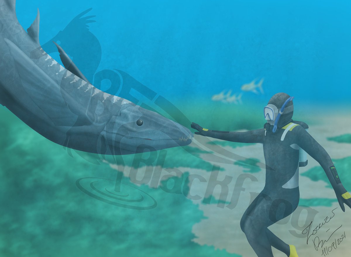 Nijin_Official's tweet photo. Diver Playing with an Enetodon from speculative evolution project Nijin-Konai https://t.co/3DQ2LT7qIr