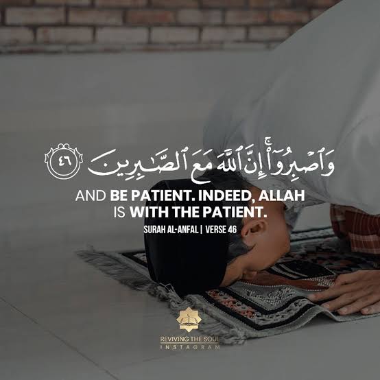 thetoobaism's tweet image. Blessing your feeds!!!❤️
#StudentsMarchToPMHouse #MdcatStudentsAtDChowk #WeRejectPmcMdcatTest2021