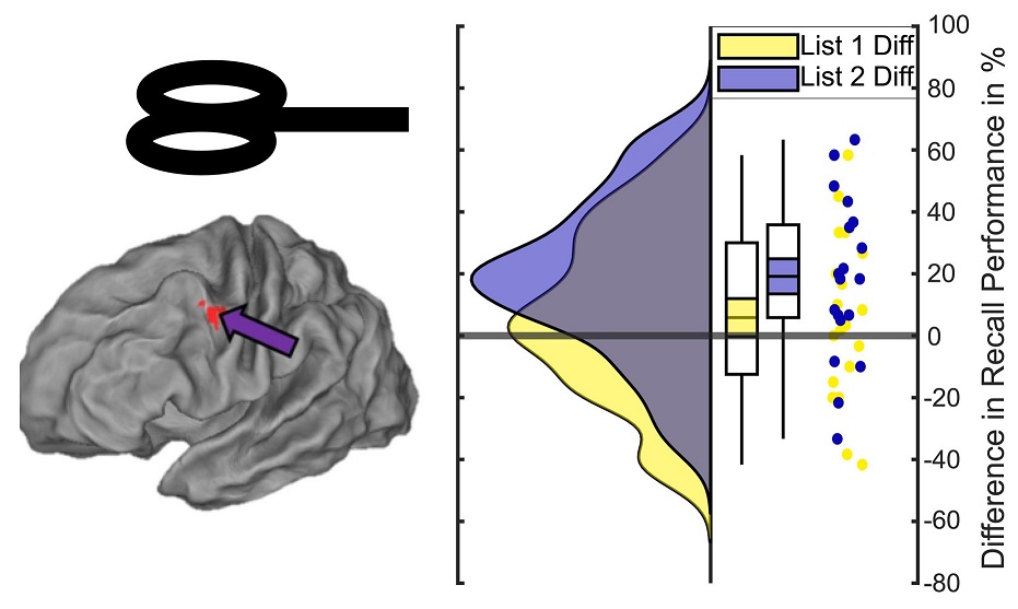 PLOS Biology tweet media
