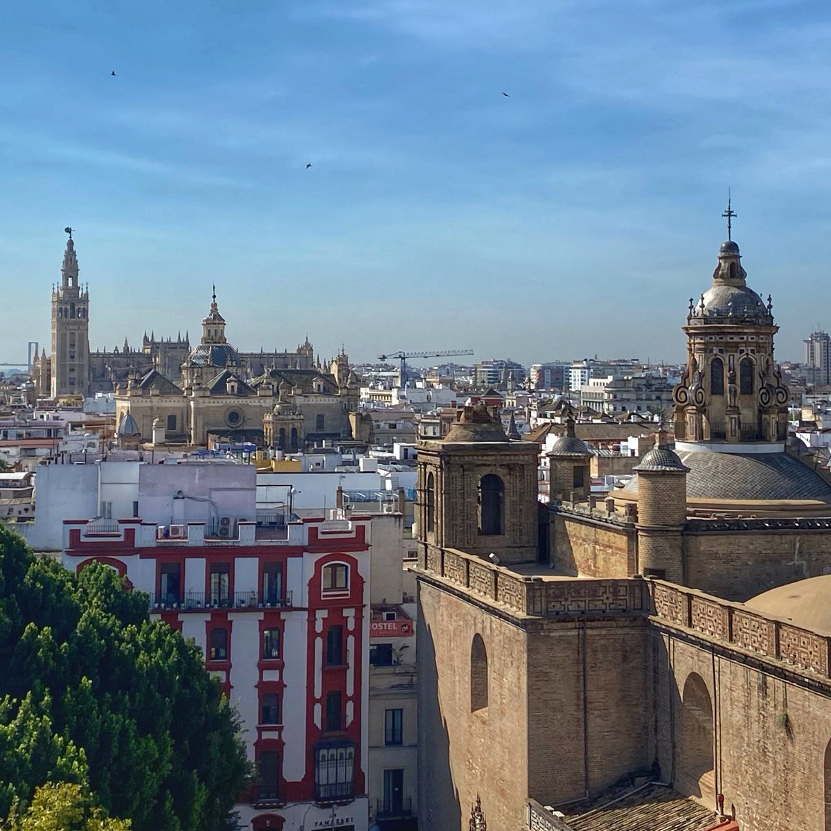 TravelingWithS's tweet photo. Captivating Seville! Second stop on our #triptospain is this beautiful city in the Andalusia region of southern Spain. This photo was taken from the top of the Metropol Parasol (The Mushrooms). Seville Cathedral on the left. #sevilla #seville #spain #ifwtwa #romantictravel https://t.co/N6kTUGQuR7
