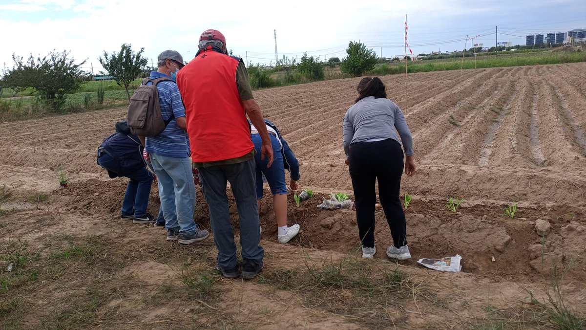 Fa uns dies ens van visitar del Parc Sanitari <a href="/OHSanJuandeDios/">San Juan de Dios España</a> amb els que hem treballat l'associació de cultius i els horts urbans. 🌱🍅