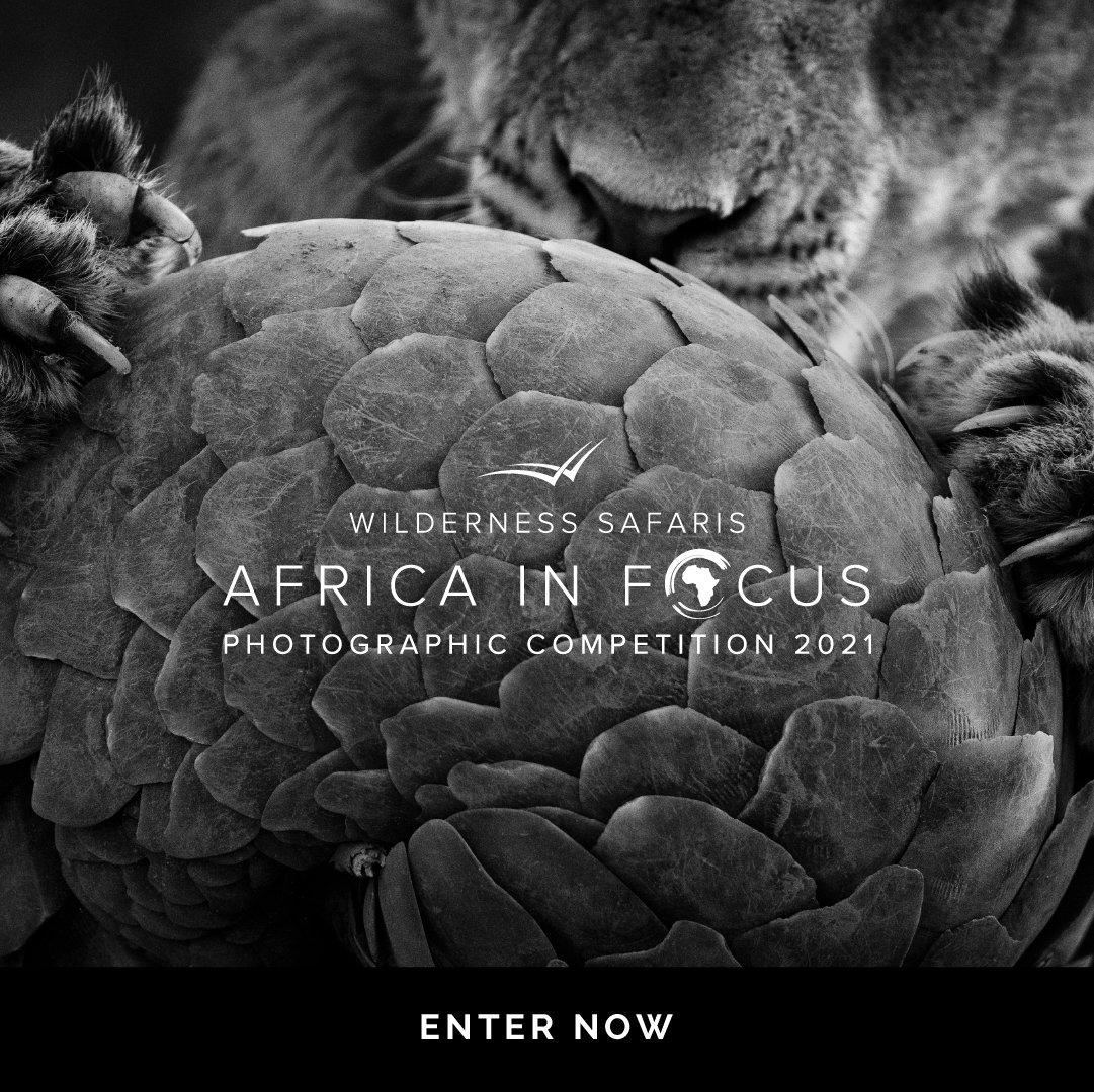 * <a href="/WeAreWilderness/">Wilderness</a> is running a very exciting photography competition from now until 15 October

Enter here wilderness-safaris.com/photo-competit…

The four categories are:
● African Wildlife
● Conserving Africa’s Wilderness
● African Landscapes
● People, Cultures &amp; Communities of Africa