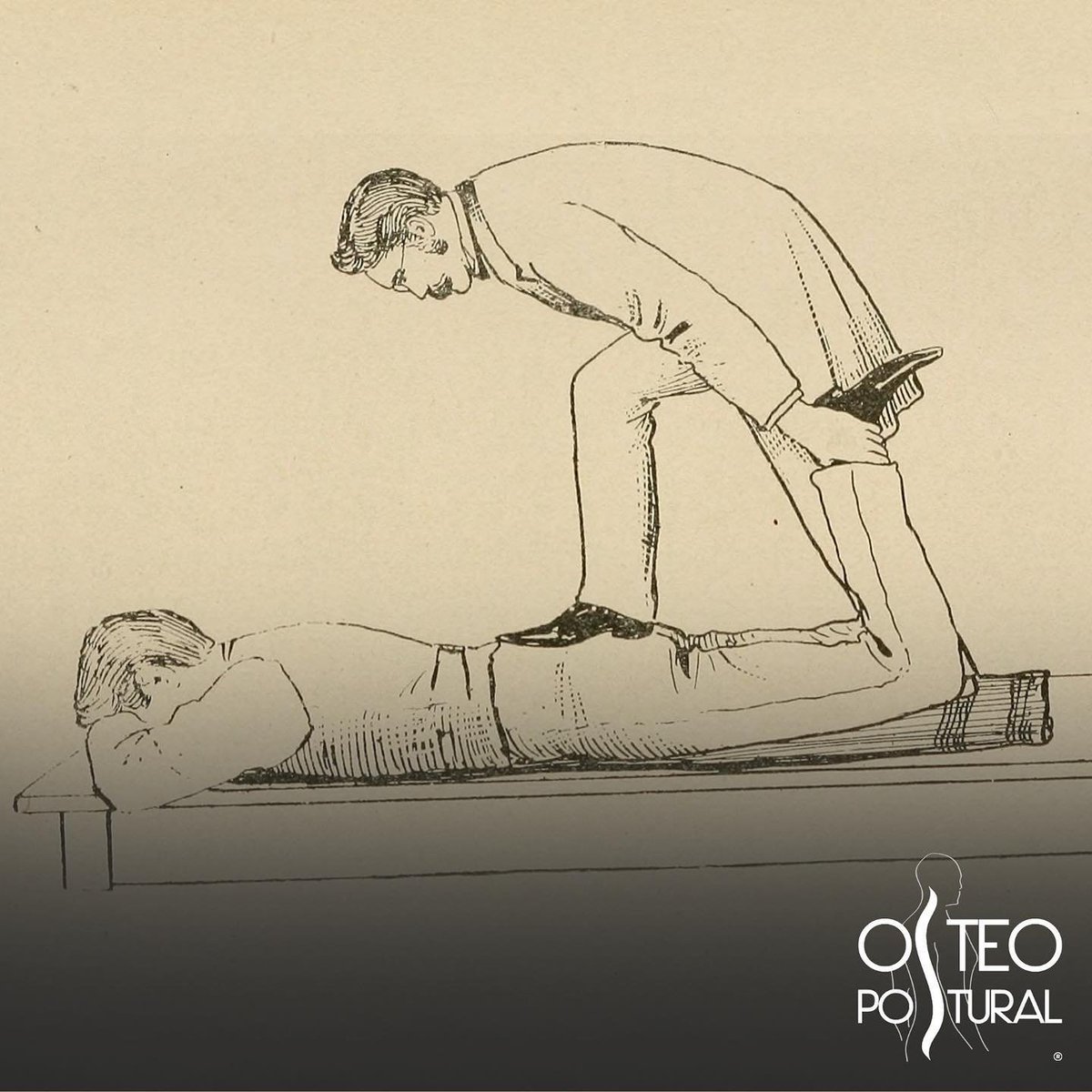 osteopostural's tweet photo. L'osteopatia (dal greco: ὀστέον, ostéon, «osso» eπάθος, páthos, «sofferenza») nasce negli Stati Uniti grazie alle intuizioni del dottor Andrew Taylor Still (1828-1917), che nel 1874 ne enuncia i principi e nel 1892 fonda l’American School of Osteopathy.
👉 Follow #osteopostural https://t.co/Oi0Aruxo5C