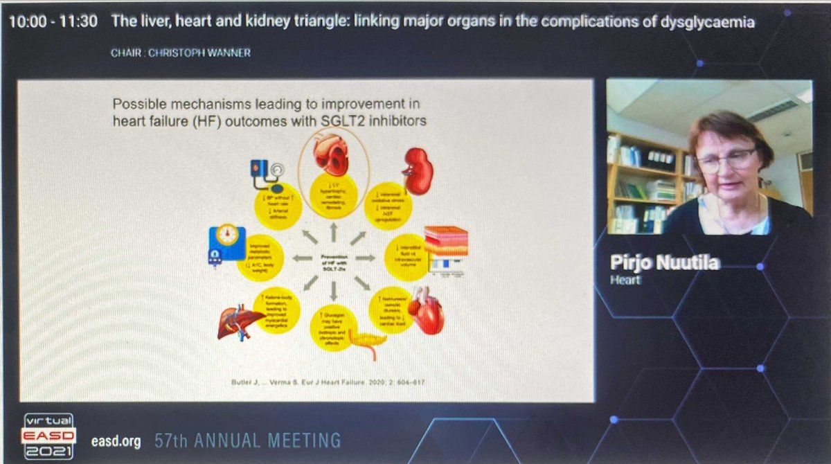 DSN_Amanda's tweet photo. #EASD2021 

#SGLT2i possible mechanism leading to improvements in #HF on 

#WorldHeartDay ❤️#WorldHeartDay2021 ❤️

@EASDelearning @EASDnews 

#DapaHF
#EmperorReduced https://t.co/1jeCKi3mJg