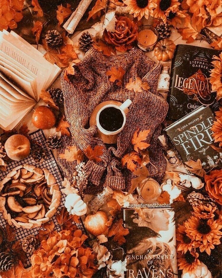 💛🤎Good morning my dear friends🍂🍁have a Wonderful Wednesday everyone🍁🌻☕🍂💛🤎😘