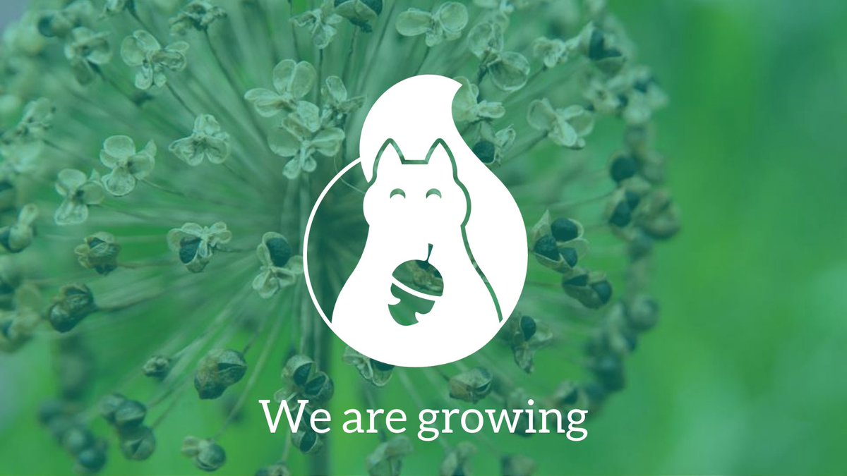 Green Squirrel (@bemoresquirrel) on Twitter photo One week left to apply! We're seeking a Community Coordinator for the <a href="/railwaygardens/">Railway Gardens</a> project - could this be the perfect role for you?
Find out more and apply at buff.ly/3k8PwyD
#CardiffJobs #GreenJobs One week left to apply! We're seeking a Community Coordinator for the <a href="/railwaygardens/">Railway Gardens</a> project - could this be the perfect role for you?
Find out more and apply at buff.ly/3k8PwyD
#CardiffJobs #GreenJobs