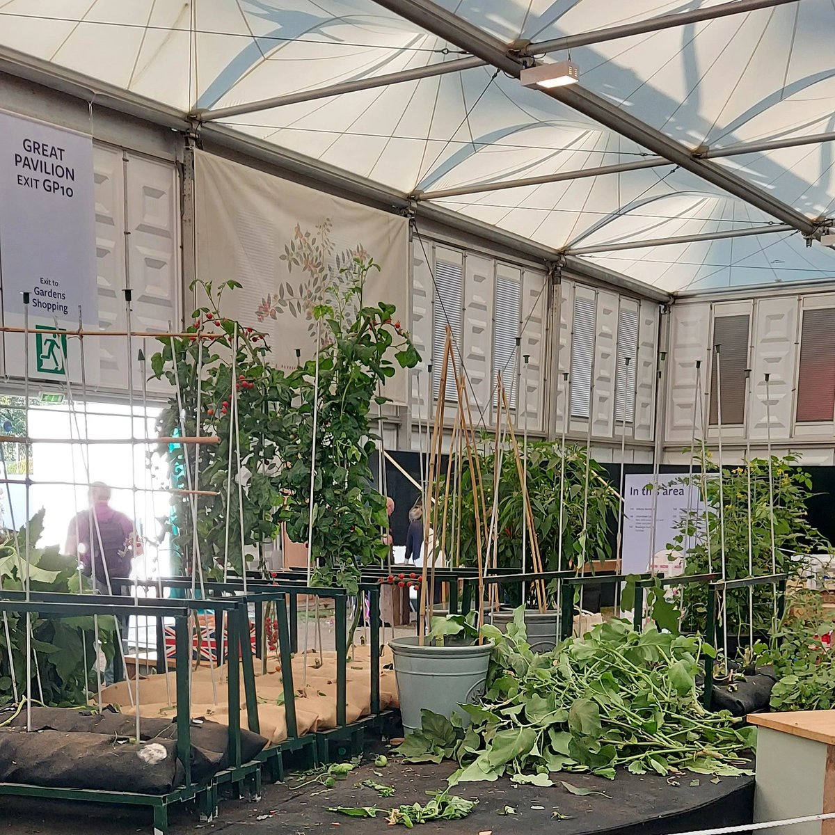 Chelsea 2021 done wirh @BurpeeEurope . Thanks to everyone who helped make it a great show, tinged with sadness as it will be our last one. Now back at the nursery growing plants!