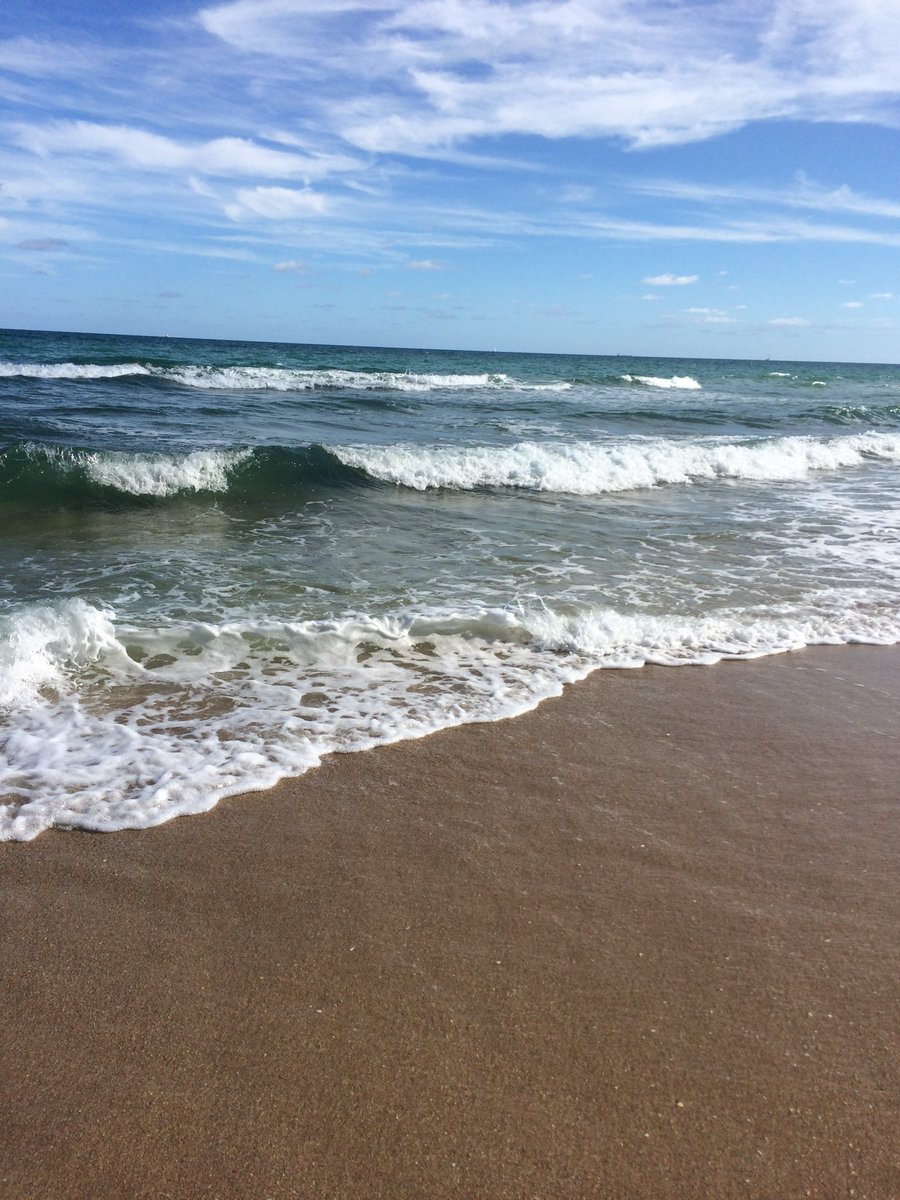 Barbara Di Censo tweet media