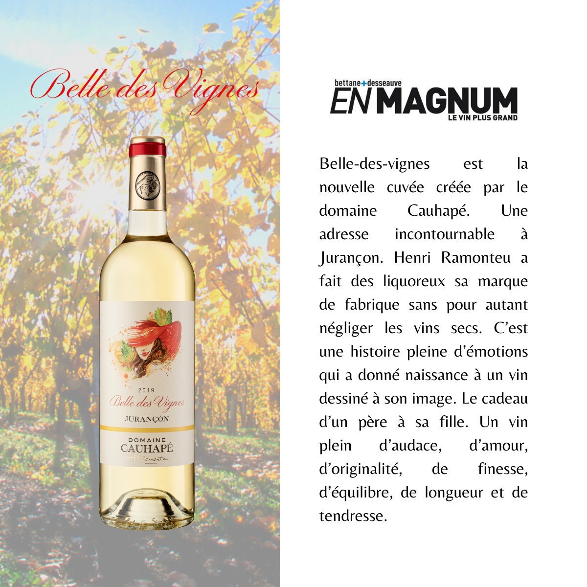 En Magnum de <a href="/MyBettaneD/">Bettane+Desseauve</a> revient sur #Belle des #vignes
