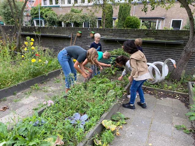 Gratis workshop schoolmoestuinieren!Voor (groot)ouders, leerkrachten en verzorgers.🥒🍅🥕🍠
Woensdagavond 27 oktober op de Lorentzschool. Meer info via is.gd/GDFBC9

#Hilversum #Urbanfarming035 <a href="/AnnetteWolthers/">Annette Wolthers</a> @hilversummediastad <a href="/lorentzschool/">lorentzschool</a> @Omgevingsedu