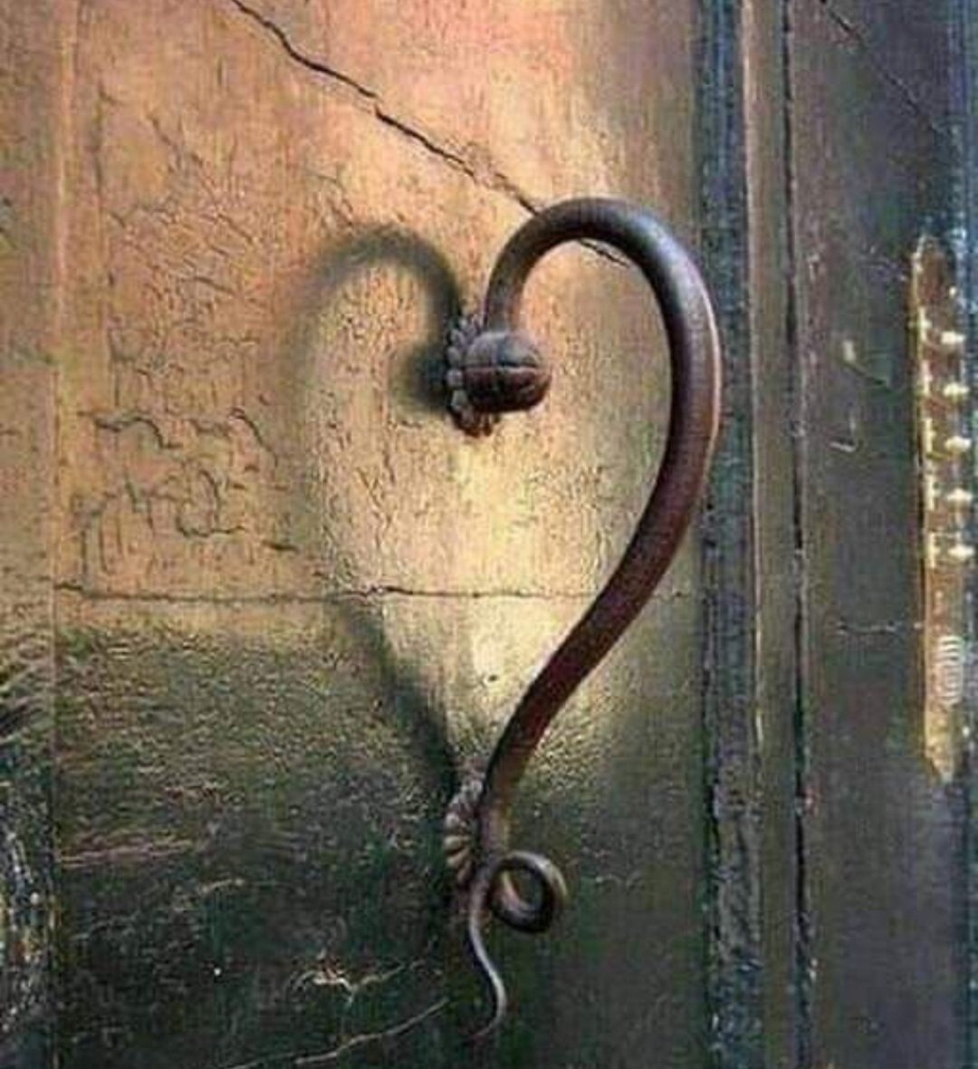 رب نسألك في هذا الصباح 
سؤال الواثق بك الطامع في كرمك
المقصِر في حقك الراجي لرحمتك
هب لنا من لدنك عفوًا وتوفيقا 
وتيسيراً وفرجاً ورزقاً وسعادة

صباح الخيرات 🌺💌