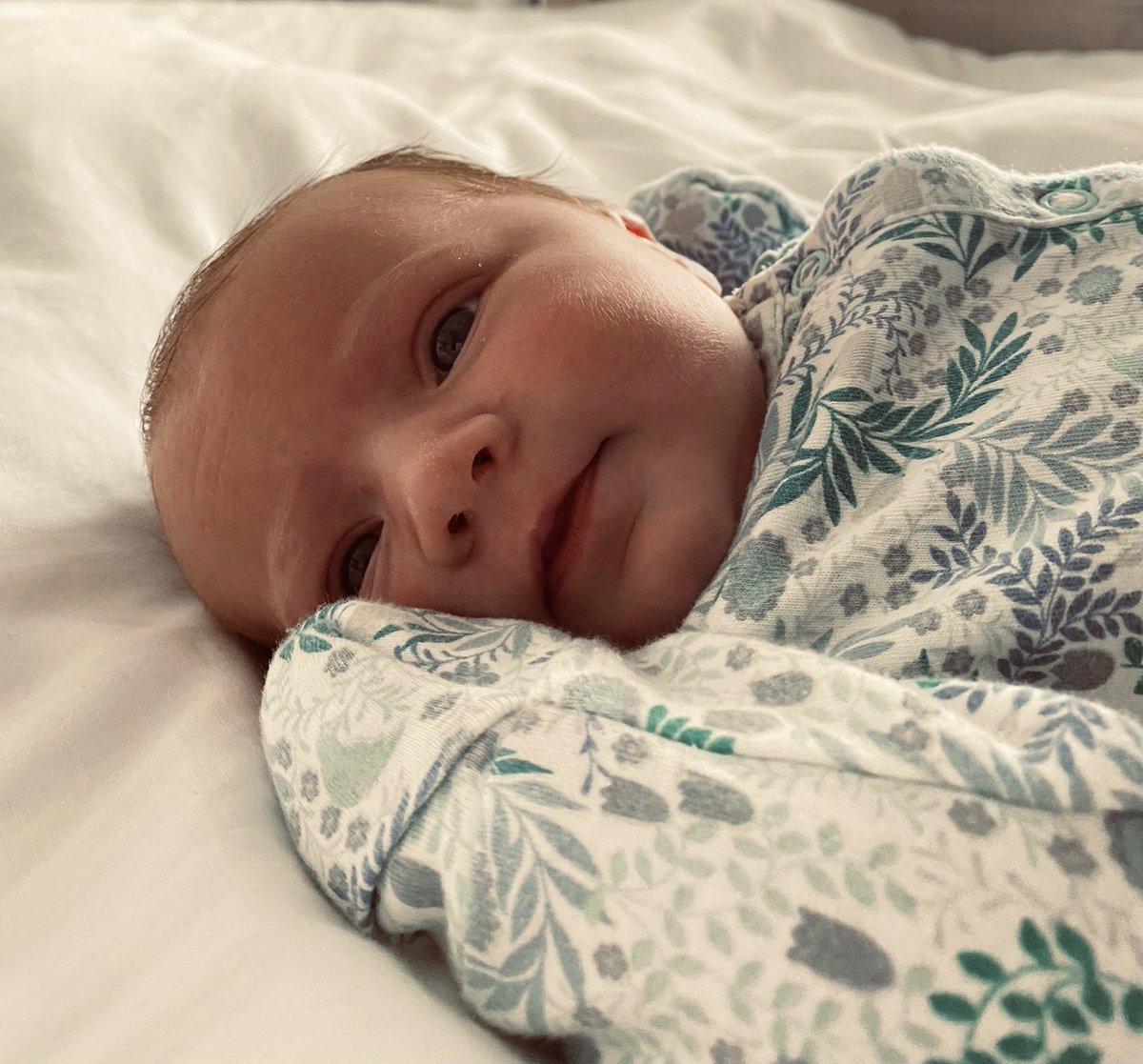 Sarah Rampley tweet media