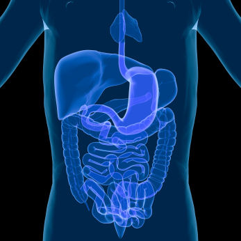 Dr @ChrysaSergaki has published on ‘Exploring how microbiome signatures change across inflammatory bowel disease conditions and disease locations’. Read the article here🔎 ow.ly/wDkj50GisyX