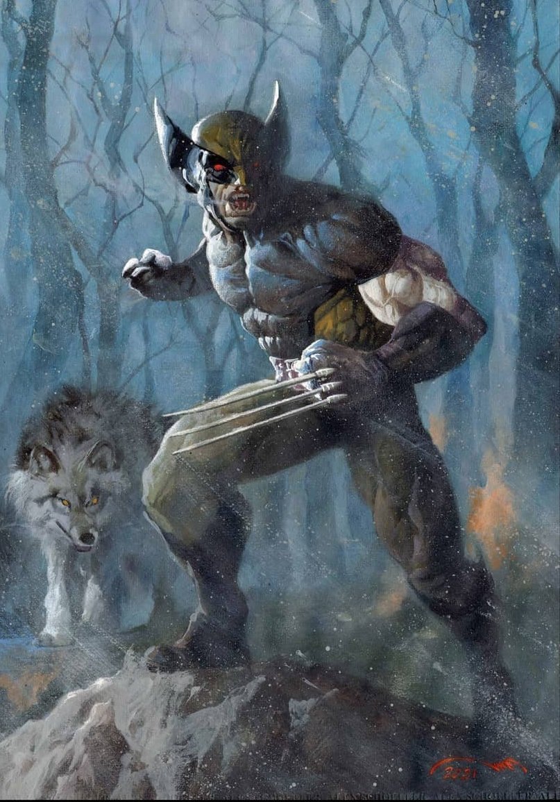 OSEDVEGOZ's tweet photo. Today In #WolverineWednesday 

Wolverine The King Of The Wolves:

#Wolverine Art by Humam Kutub.

#Logan Wolverine &amp; #SilverFox Art by Dustin Nguyen.

Wolverine &amp; The Wolf Art by Anirban Ghosh.

#KingOfTheWolves #ArtistOnTwitter #Xmen #TheWolves @xmendirector @Cinegamerfriki https://t.co/i8WMUqiZvn