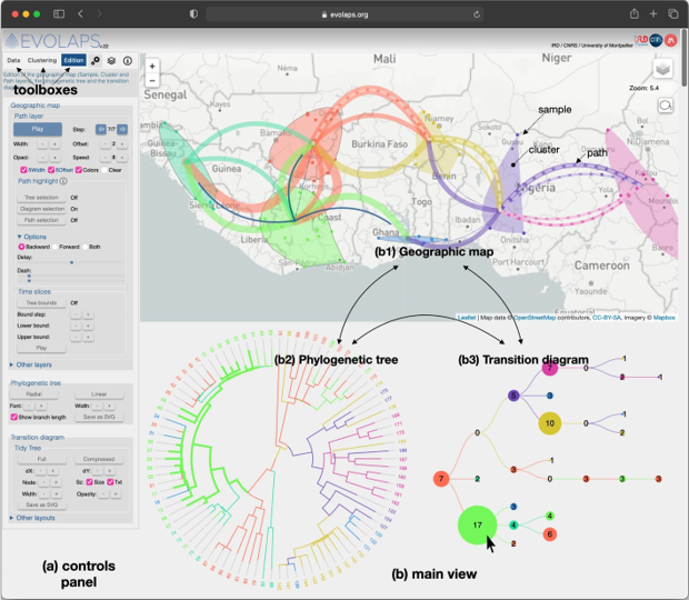 [#phimscience] Need new tips for visualizing #phylogeographic reconstructions to understand the spread and evolution of #pathogens 👉#EvoLaps <a href="/MIVEGEC/">MIVEGEC</a> <a href="/lirmm_/">LIRMM</a> <a href="/PHIM_research/">Plant Health Institute Montpellier</a> <a href="/ird_fr/">IRD.fr</a> <a href="/CNRS/">CNRS 🌍</a> 
▶️Read on <a href="/BioMedCentral/">BMC</a> doi.org/10.1186/s12859…
